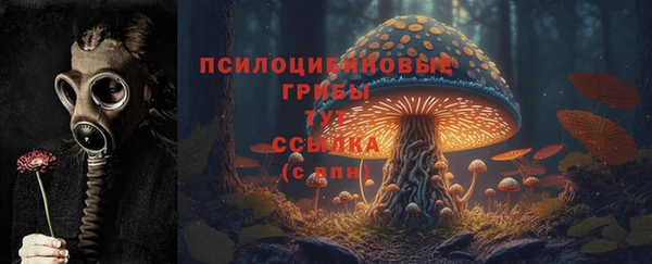 СК Абдулино