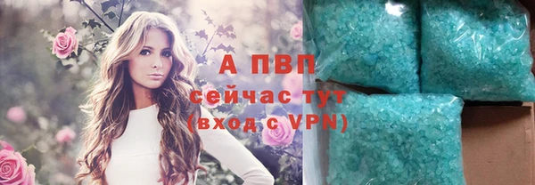 стаф Абаза