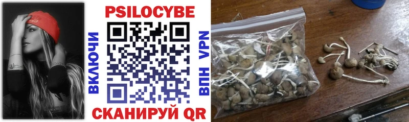 наркота  Власиха  дарк нет наркотические препараты  Псилоцибиновые грибы Cubensis 